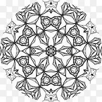 �Գ���������ͼ��-������-������