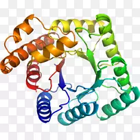 人体首饰有机体线剪贴画线-空若网 人体首饰有机体线剪贴画线-空若网