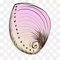 ˮ�ʻ�.ˮ�ʻ����ݲ���-������