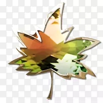 Ҷ������ֲ��2M-��Ҷ-������