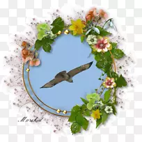 ��������-������