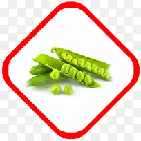 Ê߲˲¼¶¡Íã¶¹µ°°×ʳƷÊß²Ë-¿ÕÈôÍø Ê߲˲¼¶¡Íã¶¹µ°°×ʳƷÊß²Ë-¿ÕÈôÍø