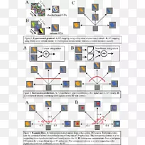 �ߵ����֯-��Ԫ-������