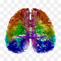 ���Լƻ�����ͼ��������Ԫ-������