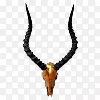 项链,鹿角,手镯,珠宝,宝石-鹿角-空若网 项链,鹿角,手镯,珠宝,宝石-鹿角-空若网