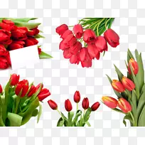 郁金香花束-空若网 郁金香花束-空若网