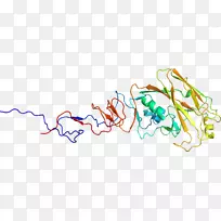 �����ߵ����-������