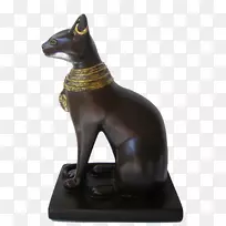 �Ű���Ů��è������-������