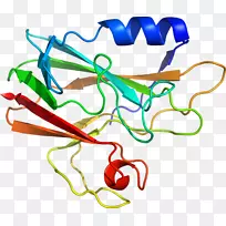 线点生物剪贴画线-空若网 线点生物剪贴画线-空若网