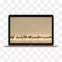 MacBookpro MacBook,AIR笔记本电脑,Macintosh-苹果笔记本电脑,数码产品。-空若网 MacBookpro MacBook,AIR笔记本电脑,Macintosh-苹果笔记本电脑,数码产品。-空若网