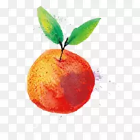 Ë®²Ê»Ë®¹ûË®²ÊÆ»¹û-¿ÕÈôÍø Ë®²Ê»Ë®¹ûË®²ÊÆ»¹û-¿ÕÈôÍø