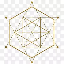 ���ǿ�ѧ�о��γ�����ר����-��ѧ-������