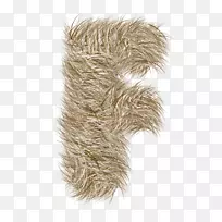 毛皮-空若网 毛皮-空若网