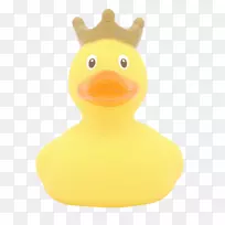 橡胶鸭广告-空若网 橡胶鸭广告-空若网