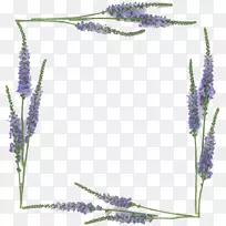 ޹�²�����ͼ��-������