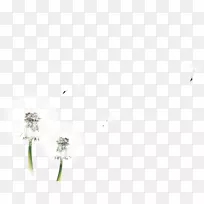 ���ѹ�Ӣͼ��-�ѹ�ӢƯ������-������