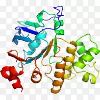树线动物剪贴画-树-空若网 树线动物剪贴画-树-空若网