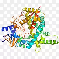 �������߼�������-������