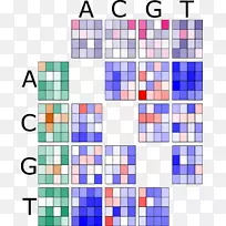 ���ɻ��ݴ�ѧҽ�Ʒ�������-������