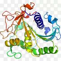 车身珠宝厂茎线剪贴画线-空若网 车身珠宝厂茎线剪贴画线-空若网