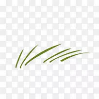 Ò¶±ê²ÝÖ²Îï¾¥×ÖÌåÒ¶-¿ÕÈôÍø Ò¶±ê²ÝÖ²Îï¾¥×ÖÌåÒ¶-¿ÕÈôÍø