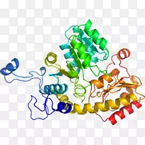 线点生物剪贴画线-空若网 线点生物剪贴画线-空若网