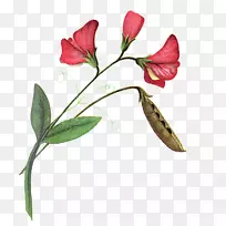 慰问贺卡插花艺术-空若网 慰问贺卡插花艺术-空若网