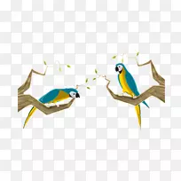 金刚鹦鹉动画鸟嘴鹦鹉-空若网 金刚鹦鹉动画鸟嘴鹦鹉-空若网