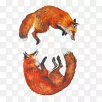 红狐水彩画艺术绘画-空若网 红狐水彩画艺术绘画-空若网