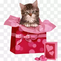 动画拥抱一周中的日子的名字-动画-空若网 动画拥抱一周中的日子的名字-动画-空若网