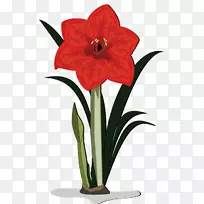 ����ֲ���Ϻ�ɫ��������-��-������