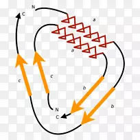 ѭ���û��ڵ������е�ѭ���û���ɫӫ�⵰��-��ѧ-������