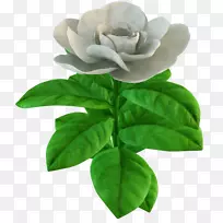 �����̲������Ͱ�-�̲�-������