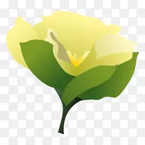 ���������ֽ���ӻ�-����-������