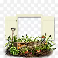 ��Ӱ-������