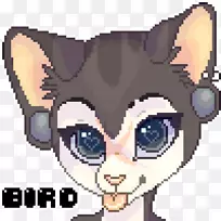 胡须猫鼻子夹艺术猫-空若网 胡须猫鼻子夹艺术猫-空若网