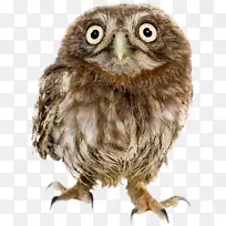 祝你生日快乐贺卡祝你生日快乐-空若网 祝你生日快乐贺卡祝你生日快乐-空若网