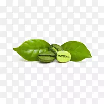 �̿�����ȡ�￧�ȶ�Ũ������-������