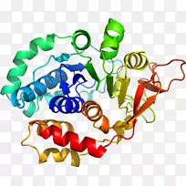 人体首饰有机体线剪贴画线-空若网 人体首饰有机体线剪贴画线-空若网