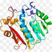 人体珠宝线有机体剪贴画线-空若网 人体珠宝线有机体剪贴画线-空若网
