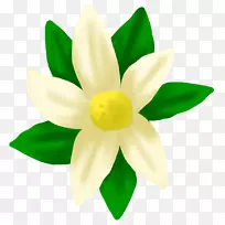 开花植物-植物-空若网 开花植物-植物-空若网