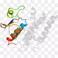 线点生物剪贴画线-空若网 线点生物剪贴画线-空若网