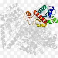 人类行为-食物树剪贴画-树-空若网 人类行为-食物树剪贴画-树-空若网