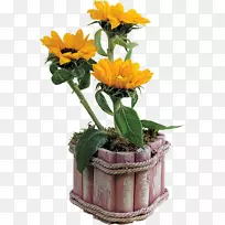 花卉设计普通向日葵剪贴画-空若网 花卉设计普通向日葵剪贴画-空若网