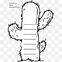 ��������ѧ�׵������ƿ�-��ѧ-������