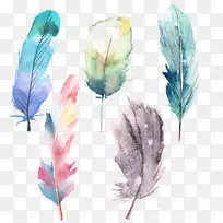 ��ëˮ�ʻ�����-������