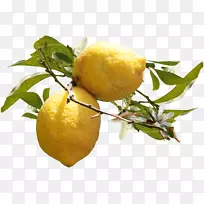 ���ʼ��������������������ϡ�-������