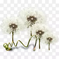 花卉博客剪贴画-花-空若网 花卉博客剪贴画-花-空若网