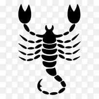 天蝎座星座黄道占星术-狮子座-空若网 天蝎座星座黄道占星术-狮子座-空若网