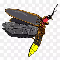 蜜蜂黄蜂昆虫萤火虫-空若网 蜜蜂黄蜂昆虫萤火虫-空若网